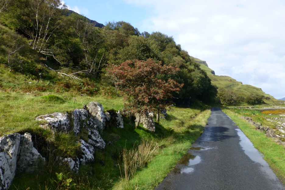 Road beside sea loch, Scotland